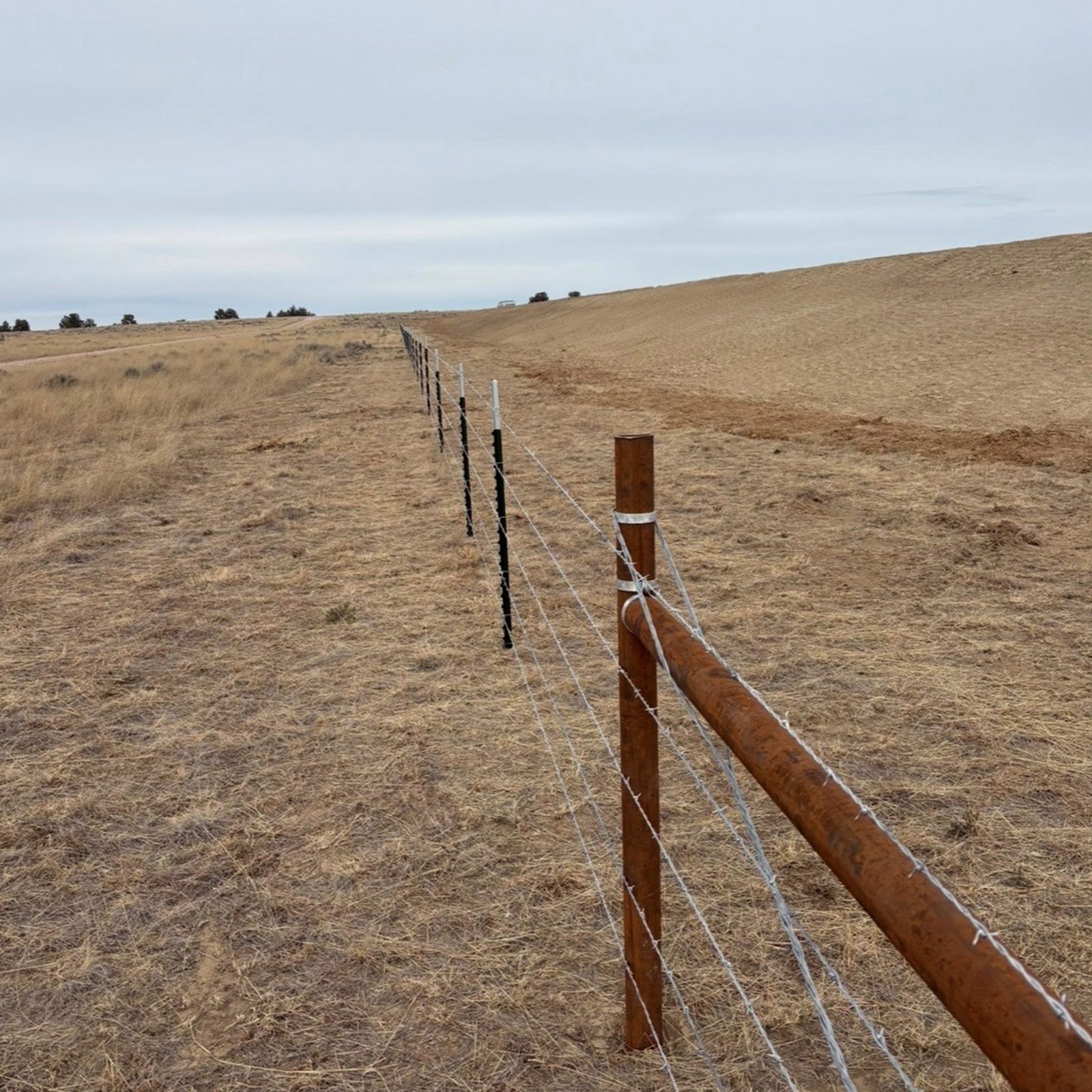 barb wire fencing out on a ranch with no grass