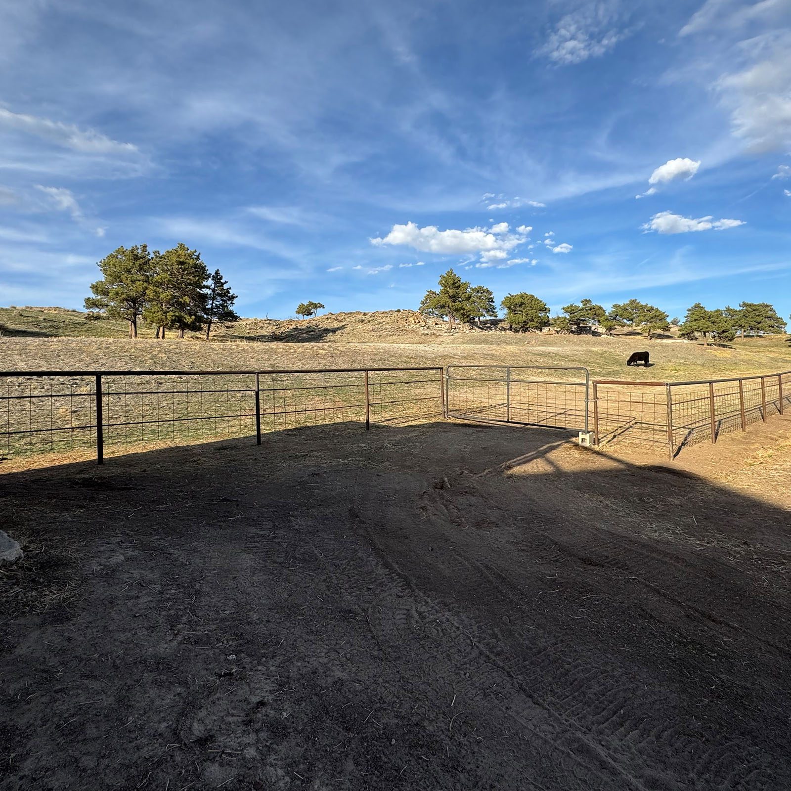 fencing out in a field with trees and blue sky